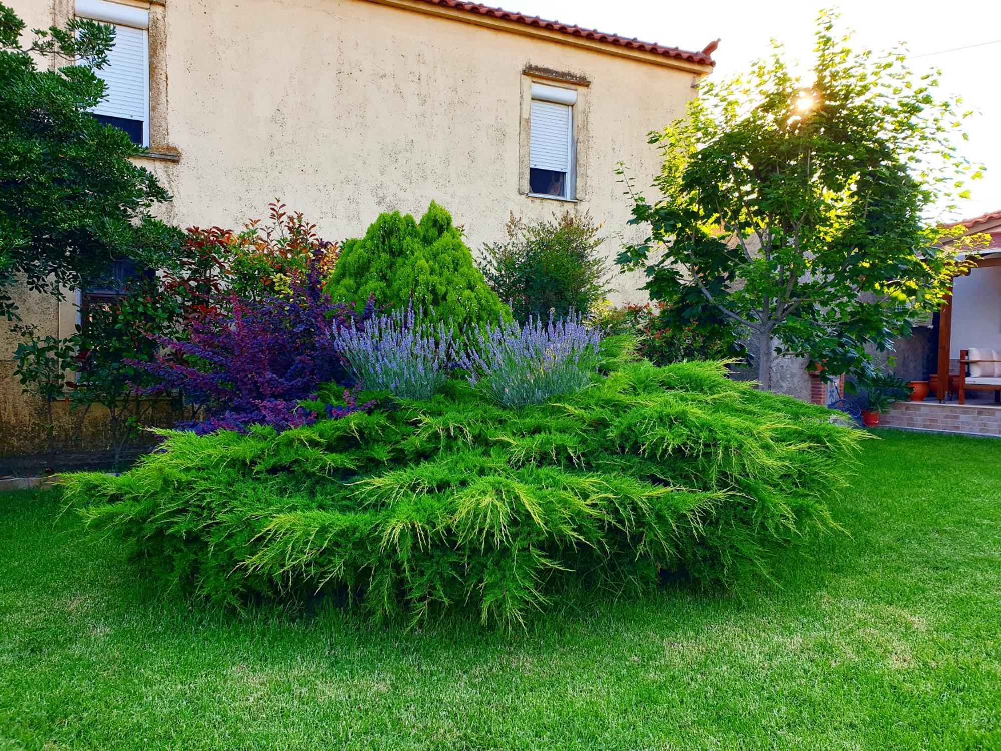 Repanidi Apartment D / Ρεπανίδι Διαμέρισμα Δ Repanidhion Dış mekan fotoğraf