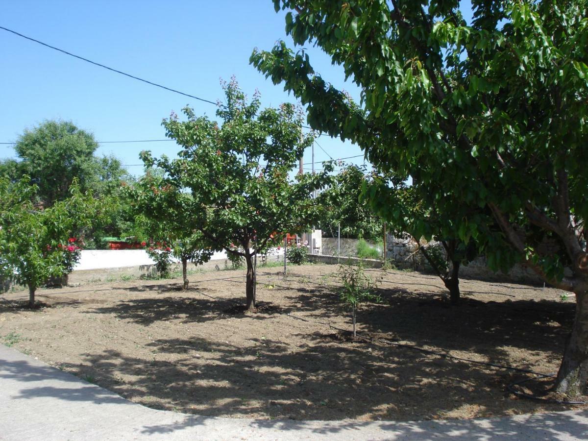 Repanidi Apartment D / Ρεπανίδι Διαμέρισμα Δ Repanidhion Dış mekan fotoğraf